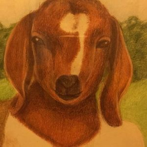 Meet your Posher, Mia